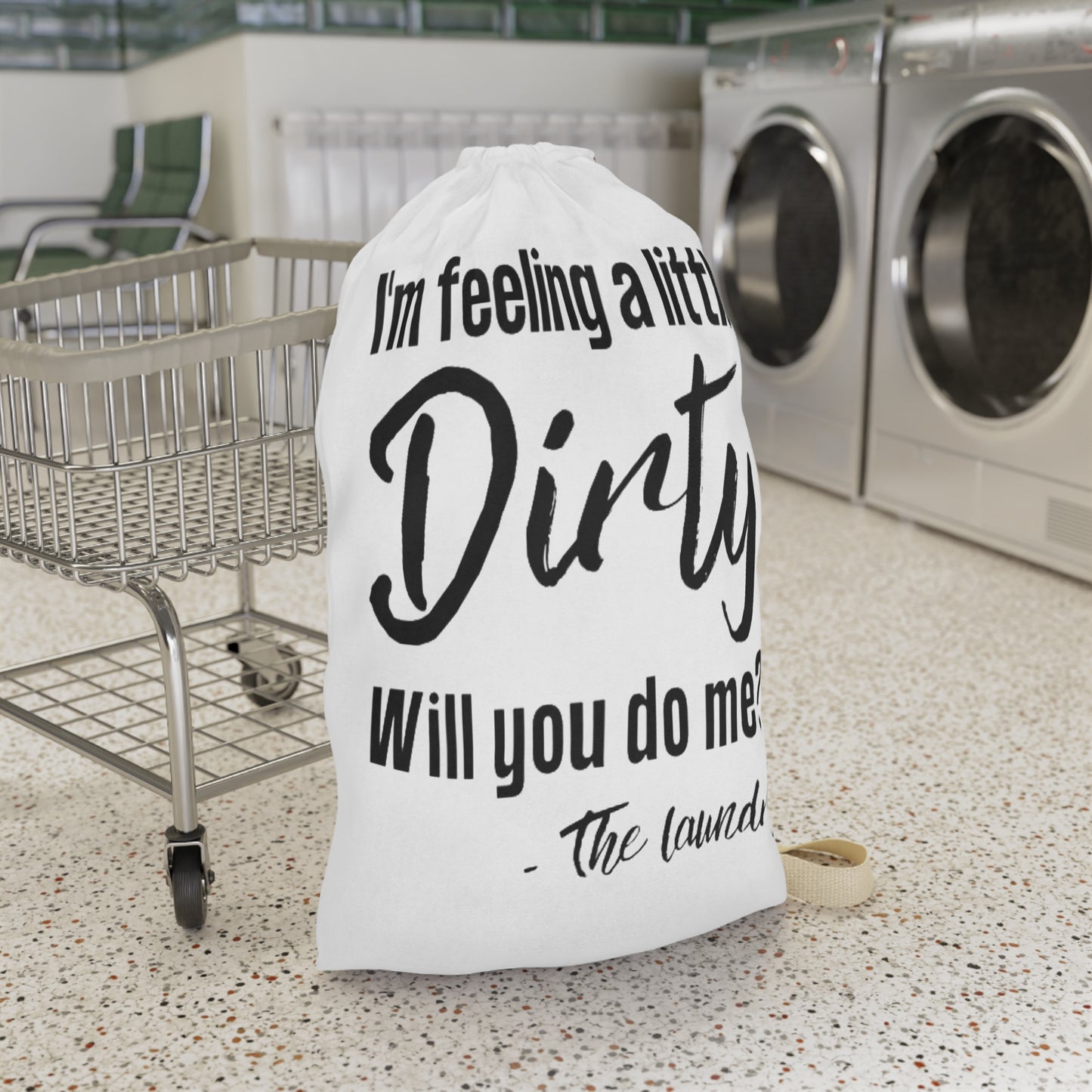 Laundry Bag — "I'm Feeling a Little Dirty, Will You Do Me?" Funny Laundry Tote